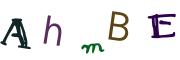 Image CAPTCHA