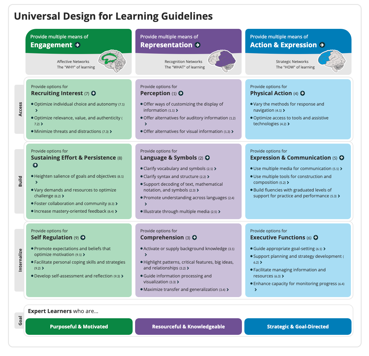 UDL Guidelines