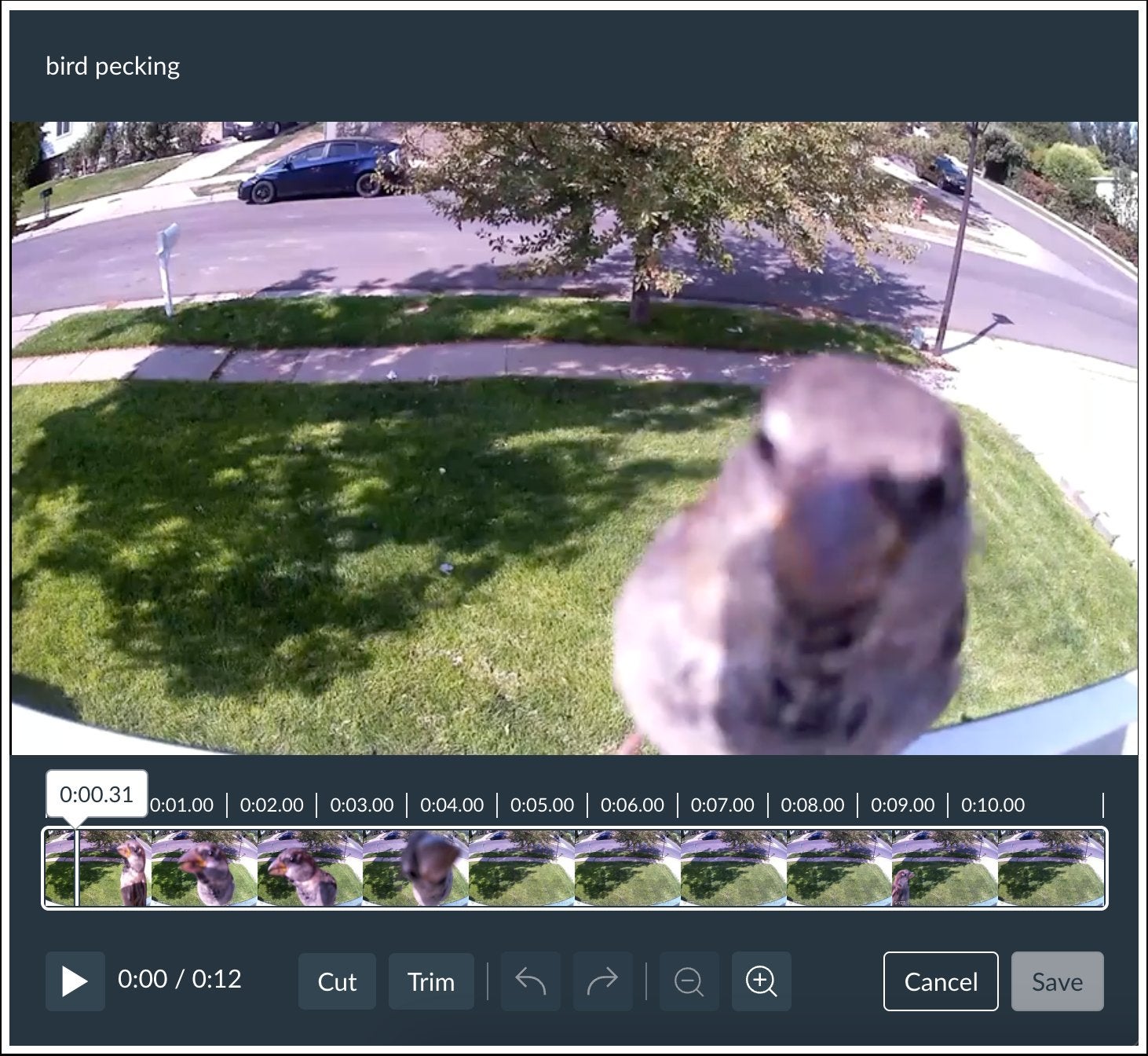 View Media Editor Preview