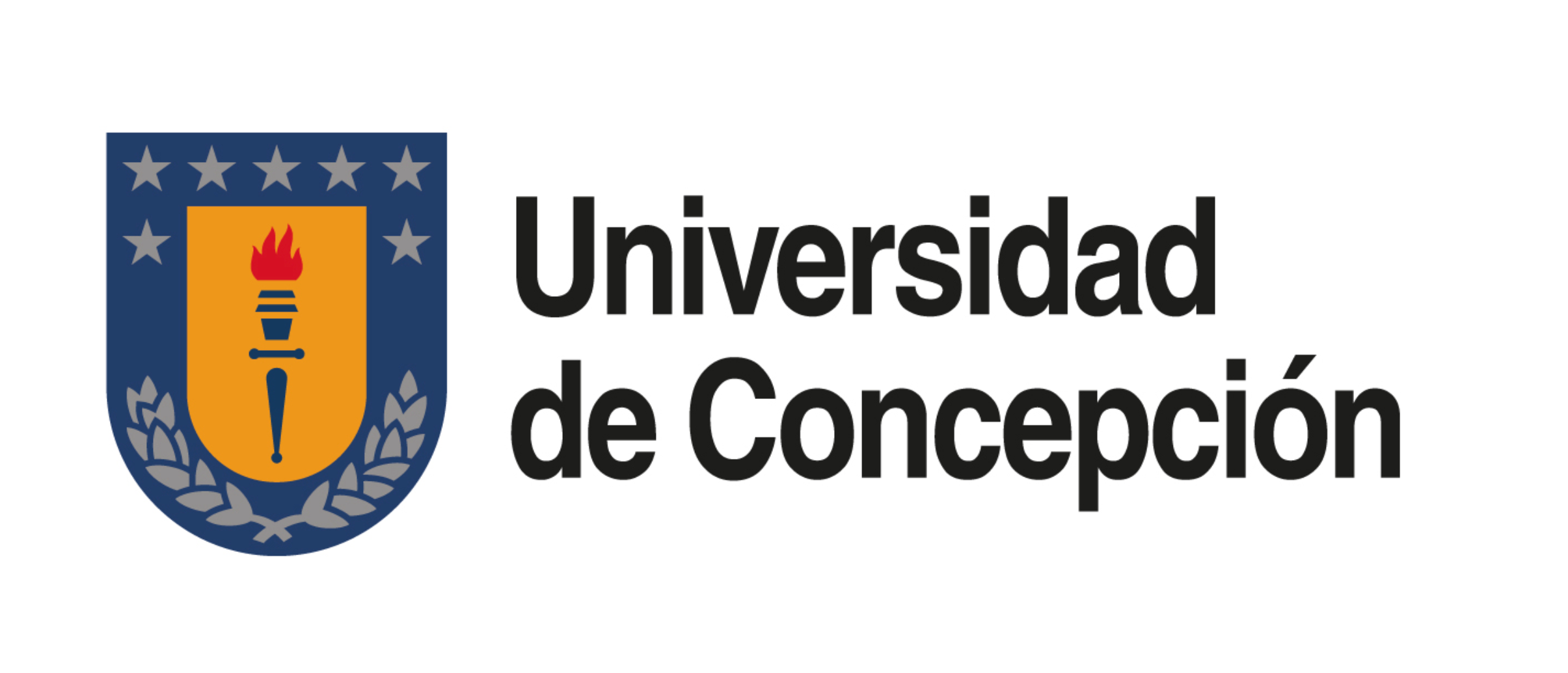 Universidad de la Concepción Logo