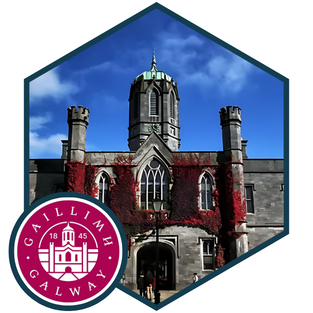 university_of_galway_-_case_study_logo