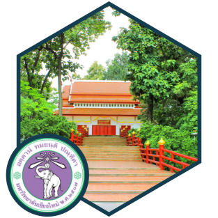 chiang_mai_university_-_case_study_logo