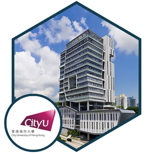 city_university_of_hong_kong_case_study_logo