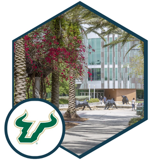 University of South Florida
