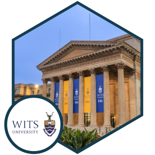 WITS University - Case Study Logo
