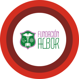 Albor Case Study - Header