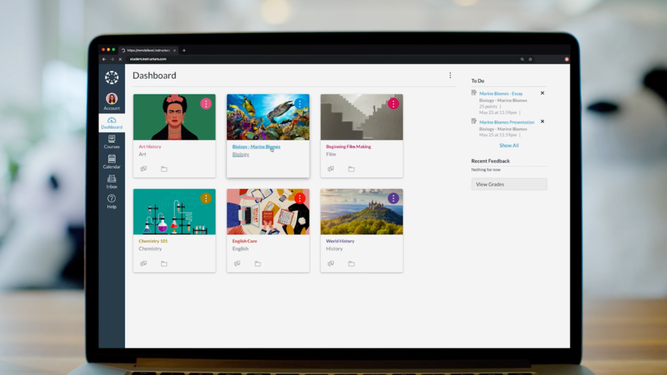 Canvas + Studio Product Demo preview