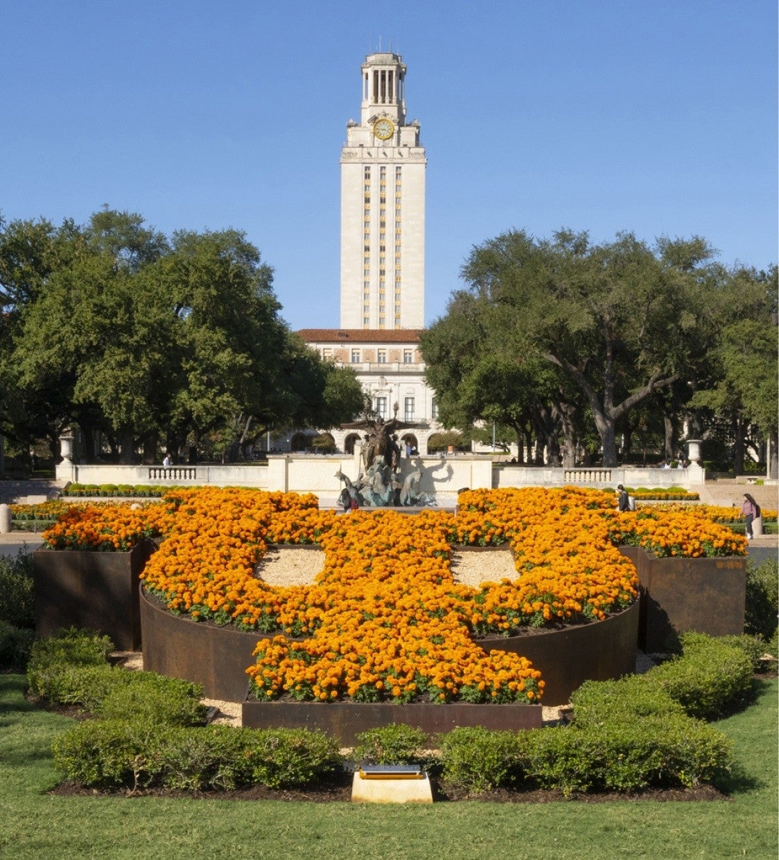 A University campus with the logo made of flowers