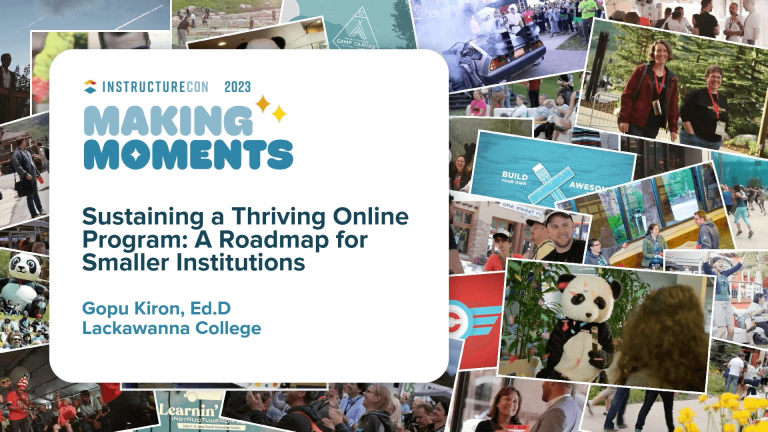 SustainingAThrivingOnlineProgramARoadmapForSmallerInstitutions