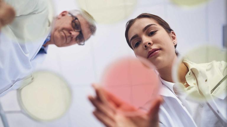 Working in a medical testing lab