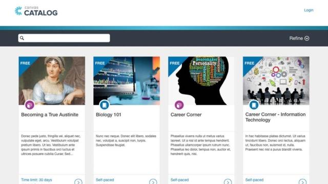 Canvas Catalog 101