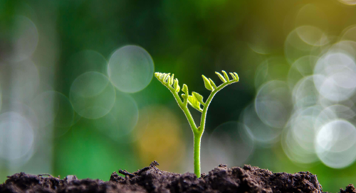 Voices of Instructure: Accessibility Advances Inclusion