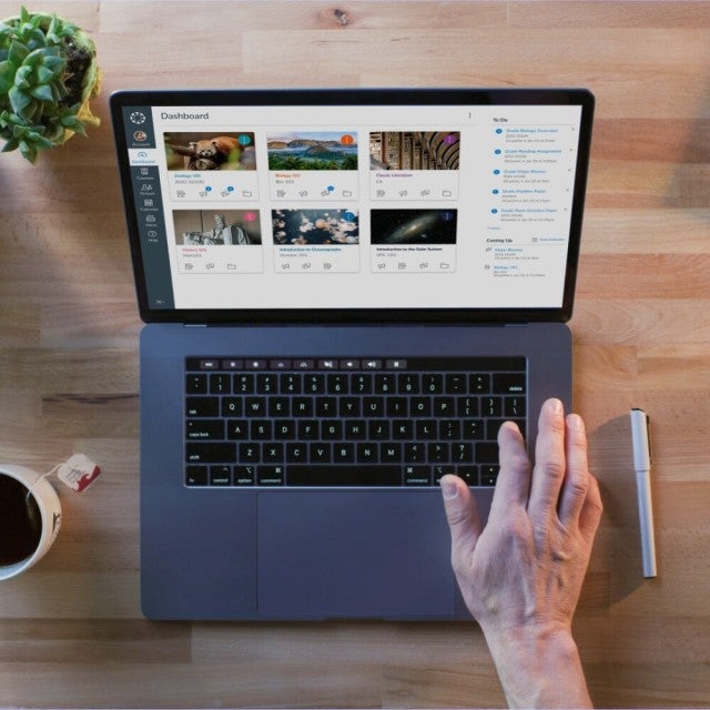 Overhead view of Canvas platform on laptop