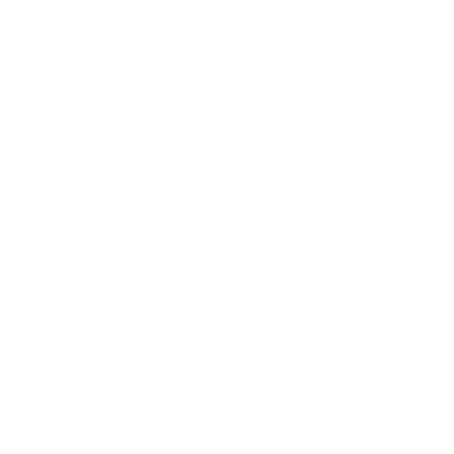 Nolej logo