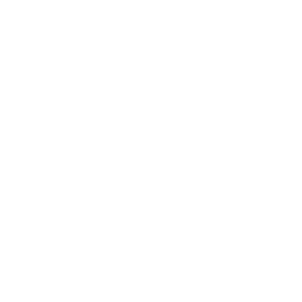 USA Swimming